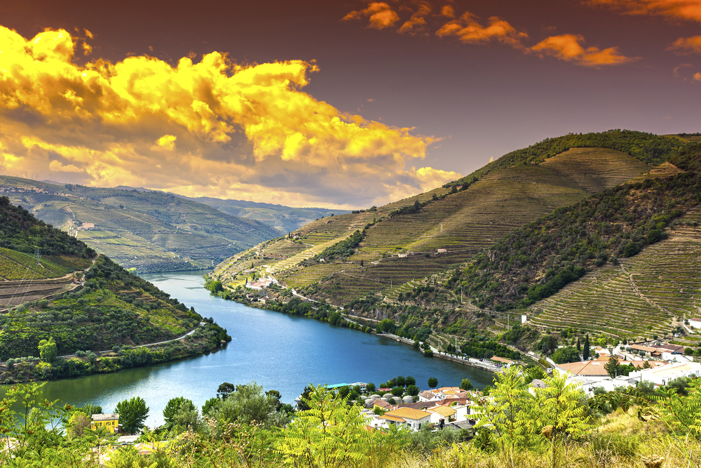 Portugal, Douro, Fluss, Weinberge, Olivenhainen