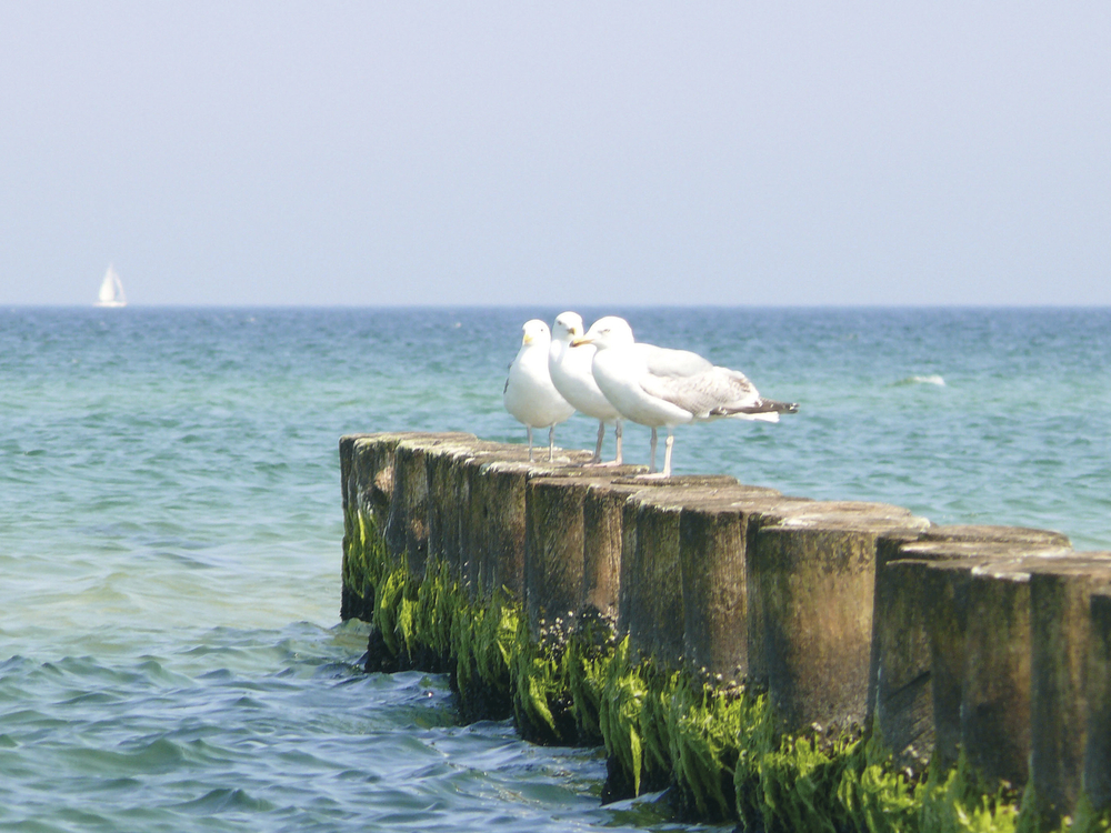 Maritim Seehotel Timmendorfer Strand