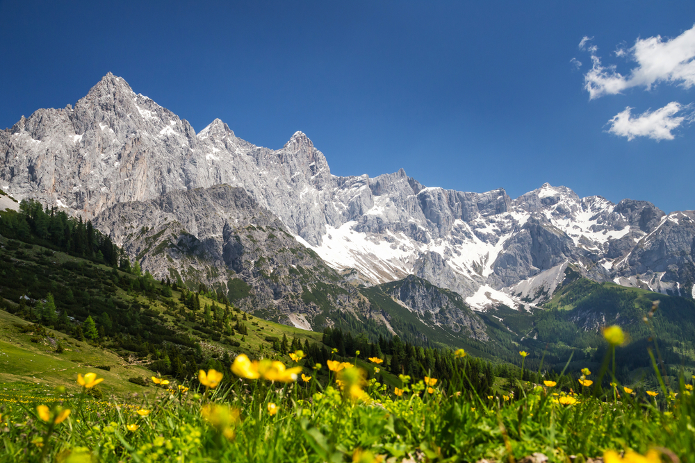Blick zur Dachstein-Südwand